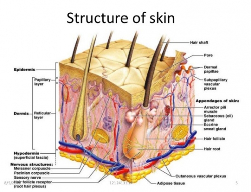 Skin peels 